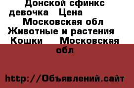 Донской сфинкс девочка › Цена ­ 15 000 - Московская обл. Животные и растения » Кошки   . Московская обл.